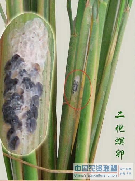 附件