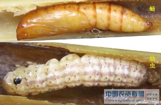 附件