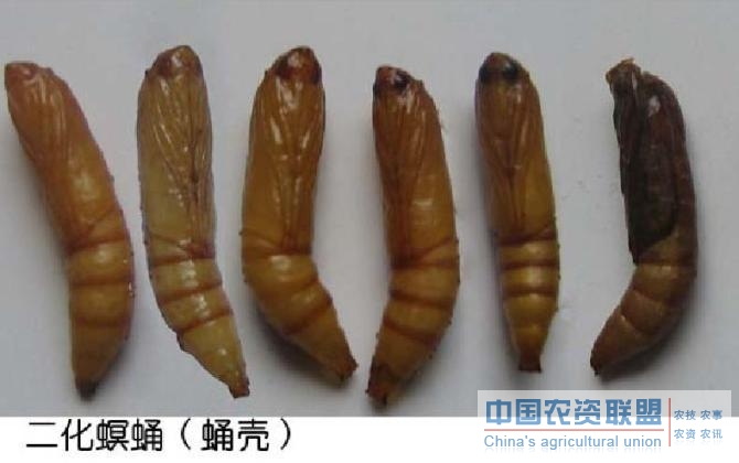 附件