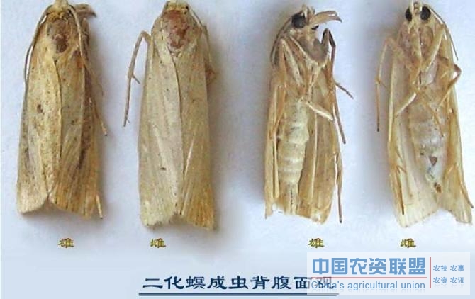附件