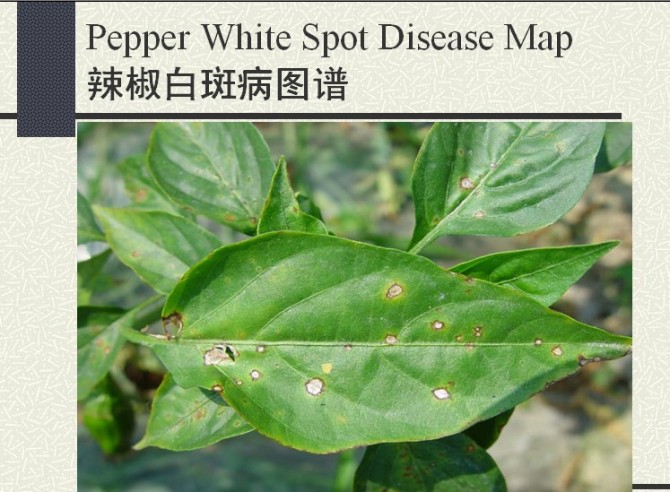 附件