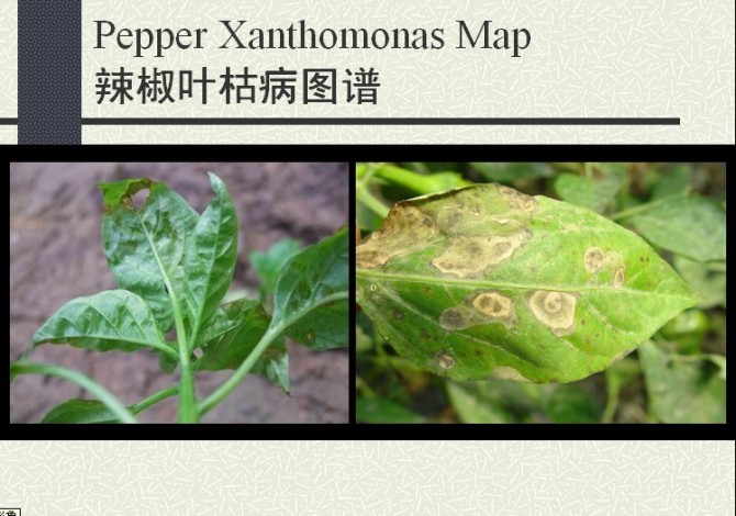 附件