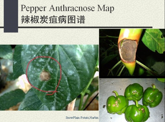 附件