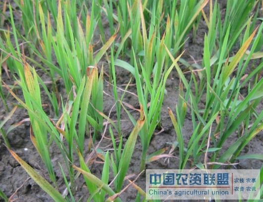 附件