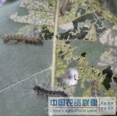 附件