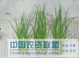 附件
