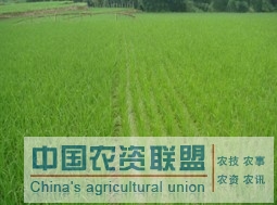 附件