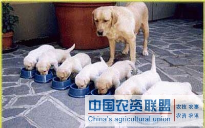 附件