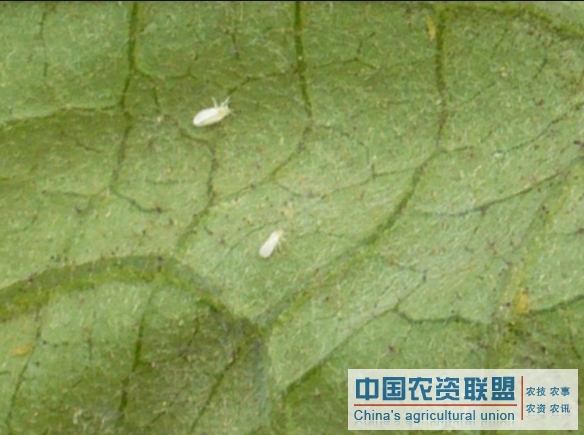 附件