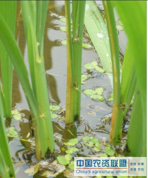 附件