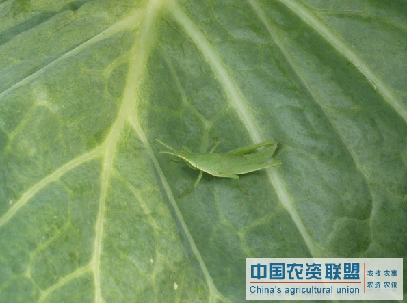 附件