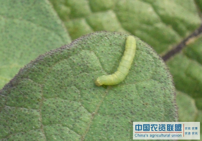 附件