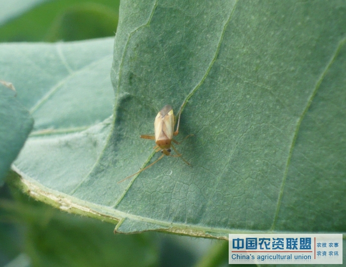 附件