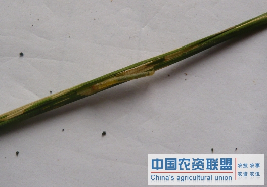 附件