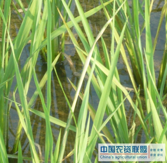附件
