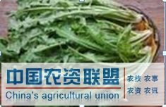 附件