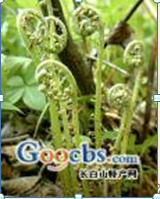 附件