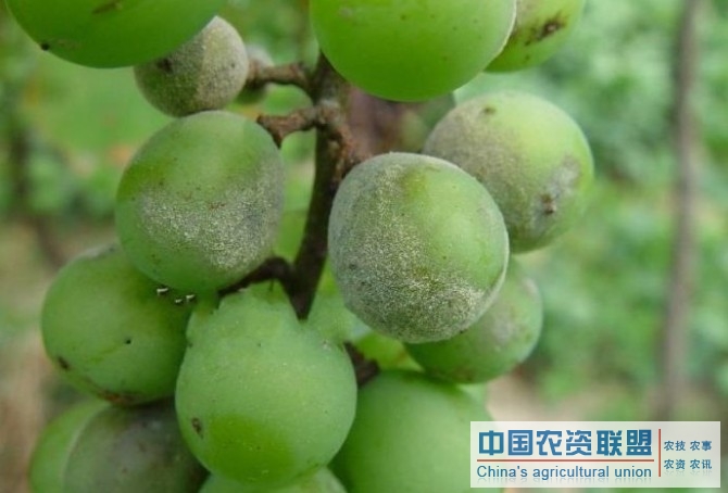 附件