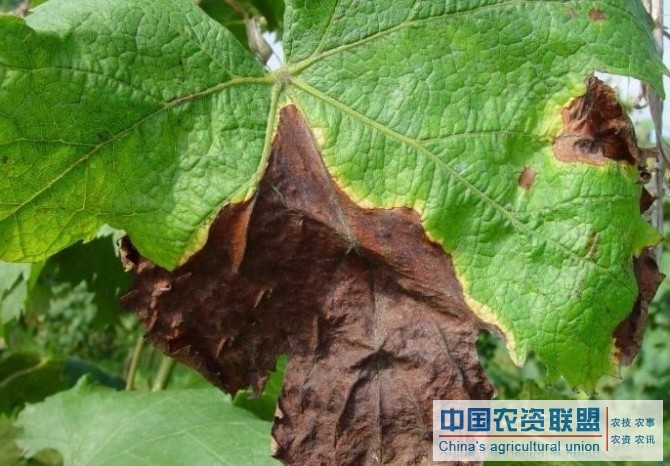 附件