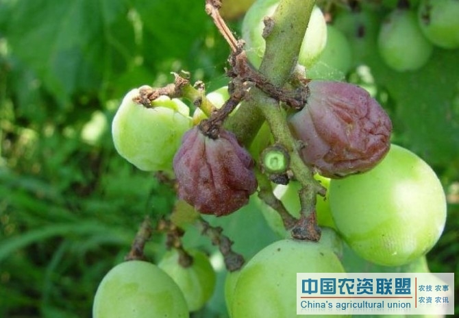 附件