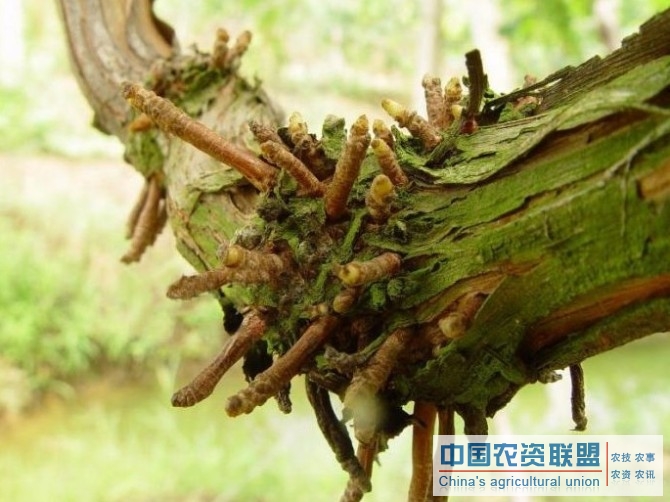 附件