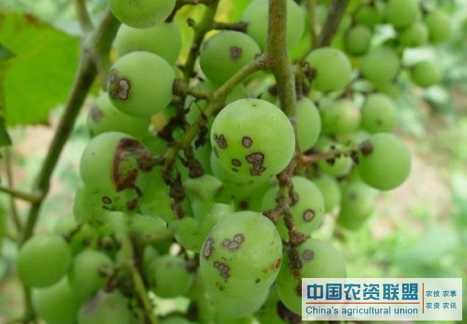 附件