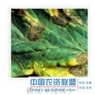 附件