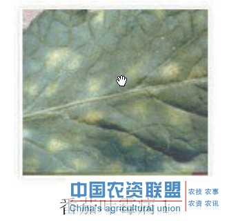 附件