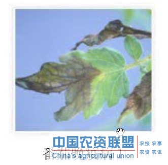 附件