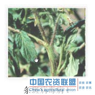 附件