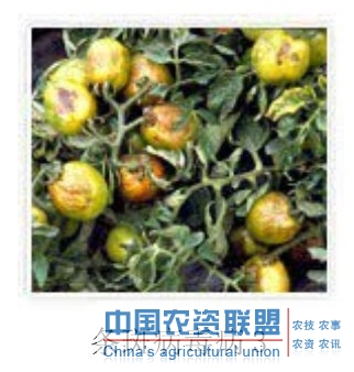 附件