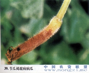 附件