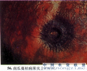 附件
