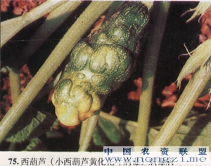 附件