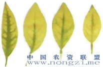 附件