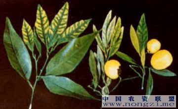 附件