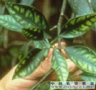附件