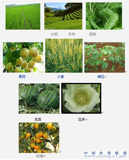 附件