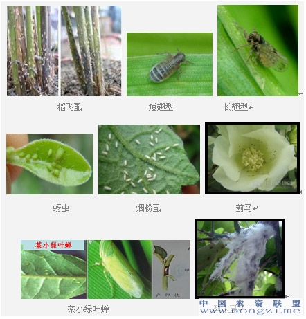 附件