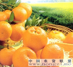 附件