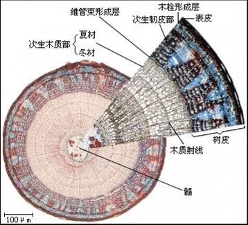 附件