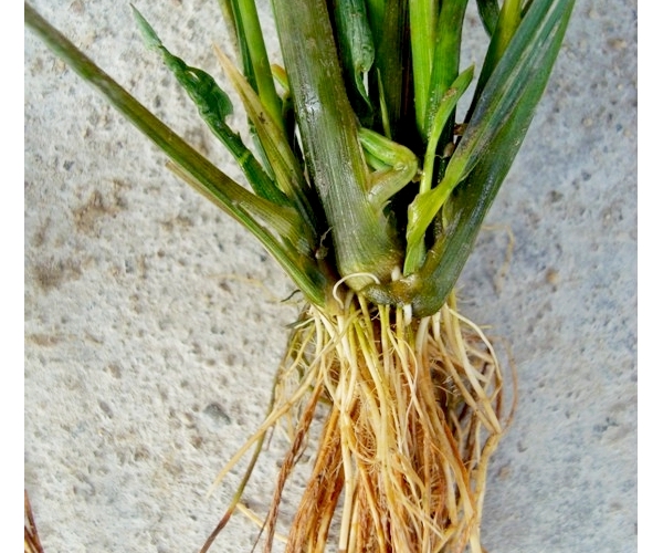 附件