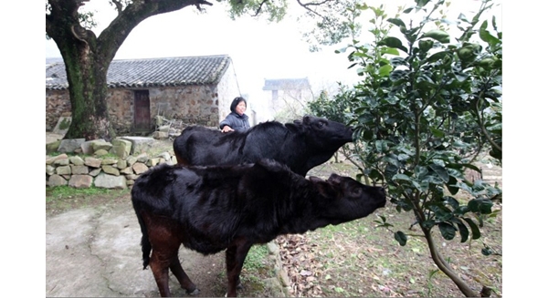 附件