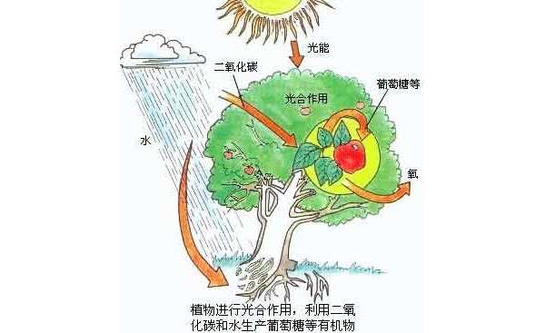 附件
