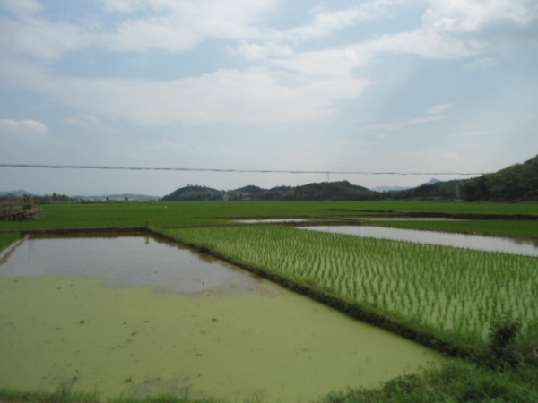 附件