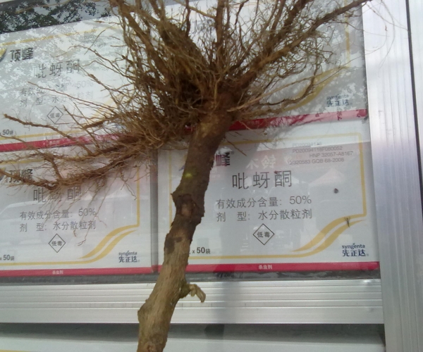 附件