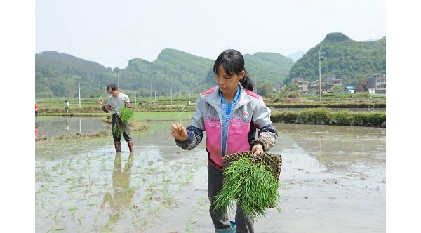 附件