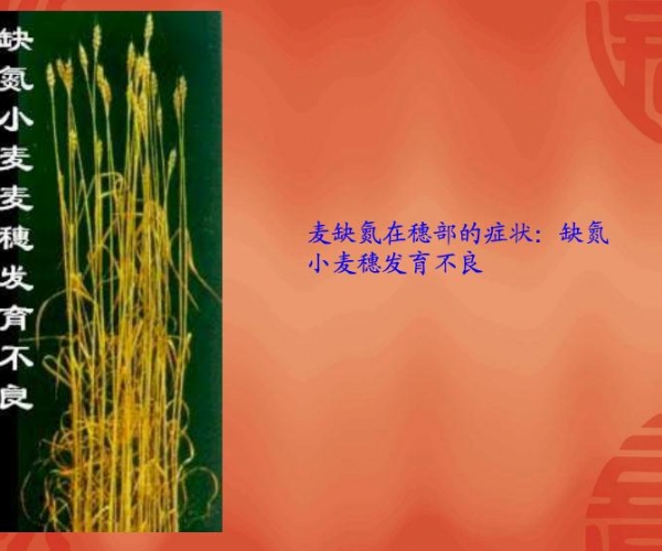 附件