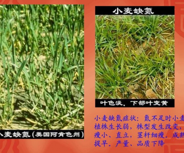 附件