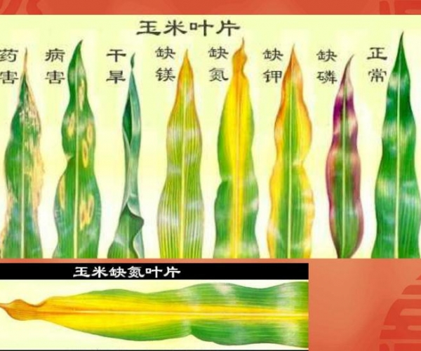 附件